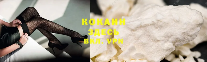 блэк спрут как зайти  Лесозаводск  Кокаин Fish Scale  купить наркотик 