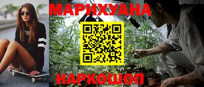 дживик Бийск