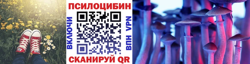Галлюциногенные грибы Psilocybine cubensis  Лесозаводск 