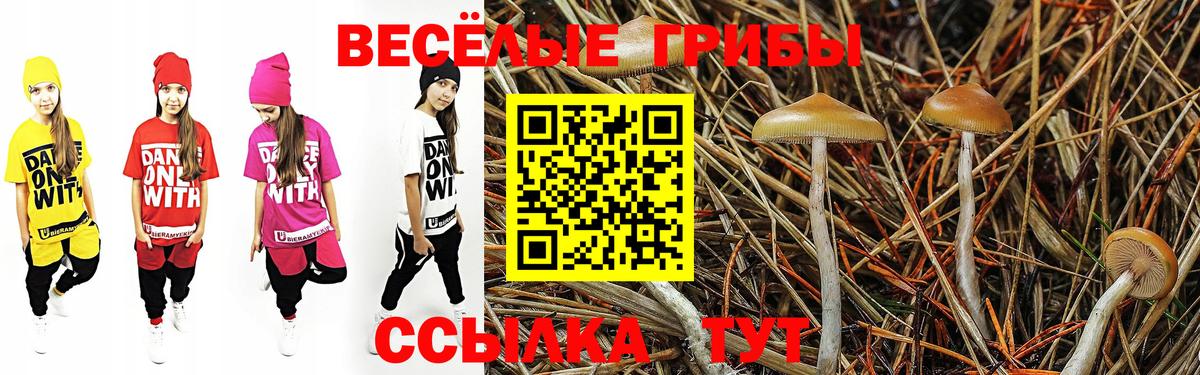 Галлюциногенные грибы Cubensis  Галлюциногенные грибы Cubensis  купить закладку  Вход с VPN  Лесозаводск 
