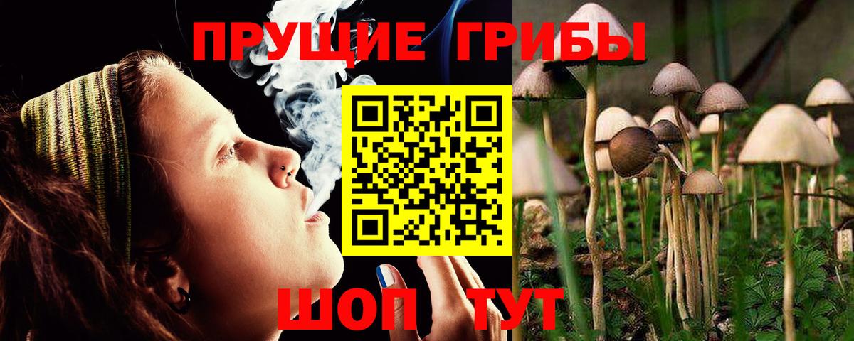 закладки  Лесозаводск  Псилоцибиновые грибы Psilocybine cubensis  Псилоцибиновые грибы прущие грибы 